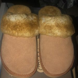 Lamo Slippers